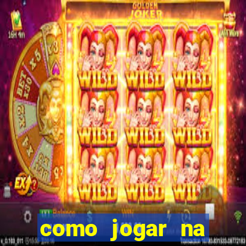 como jogar na seninha online